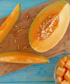 Cantaloupe Fresh Fruit paint by numbers