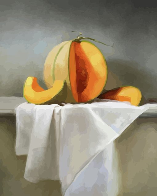 Cantaloupe Fruit Still Life paint by numbers