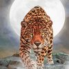 Cheetah Moonlight paint by numbers