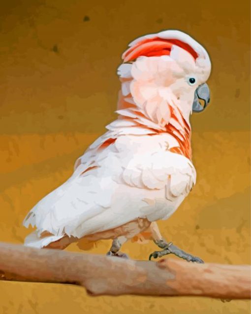 Aesthetic salmon crested cockatoo paint by numbers