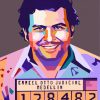 Colorful Art Pablo Escobar paint by numbers