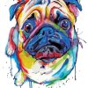 Colorful Splash Dog Paint by numbers