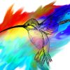 Colorful Hummingbirds Art paint by numbers