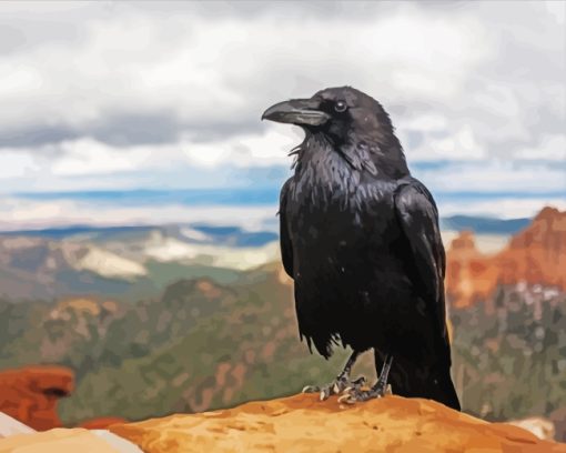 Common Raven Bird paint by numbers