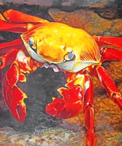 Crab Art paint by numbers