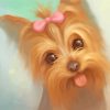 Cute Yorkie Dog paint by numbers