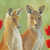 Eastern Grey Kangaroos paint by numbers