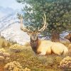 Elk Deer Animal paint by numbers