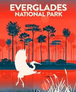 Everglades-national-park-Illustration-Poster-paint-by-number