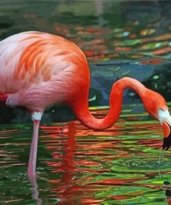 Flamingo Drinking Water paint by numbers