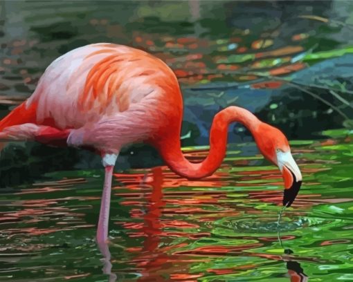 Flamingo Drinking Water paint by numbers