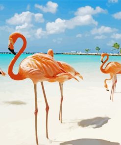 Flamingos In Turks And Caicos paint by numbers