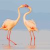 Flamingos Kiss paint by numbers