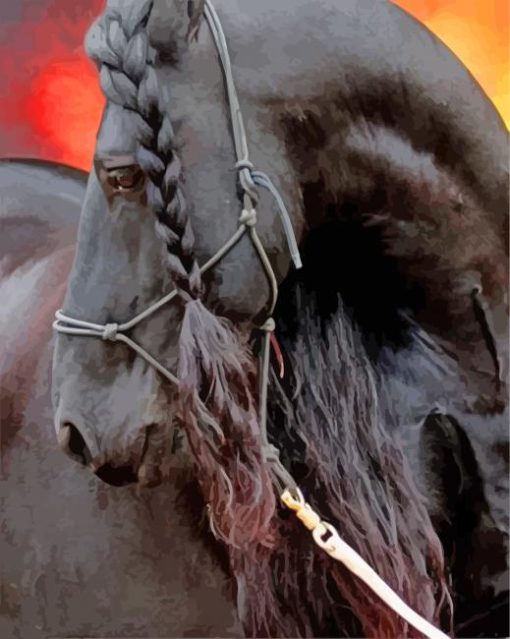 Friesian-horse-paint-by-numbers