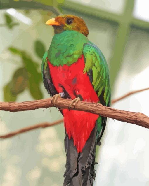 Golden Headed Quetzal paint by numbers