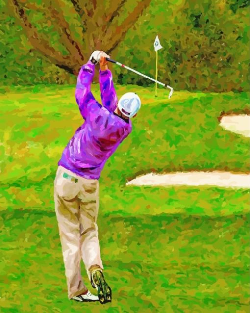 Golfer Man paint by numbers