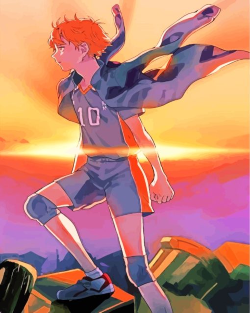 Hinata Shoyo Haikyuu paint by numbers