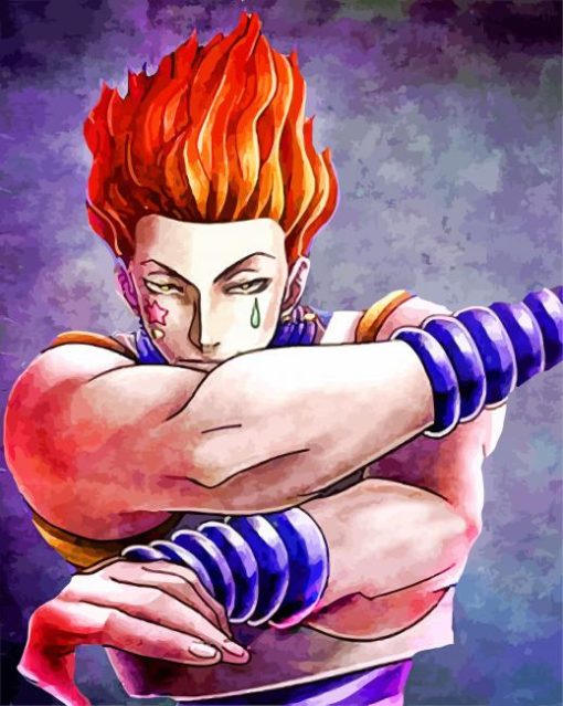 Hisoka Morow Art Japanese Anime paint by numbers