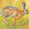 Hare Running paint by numbers