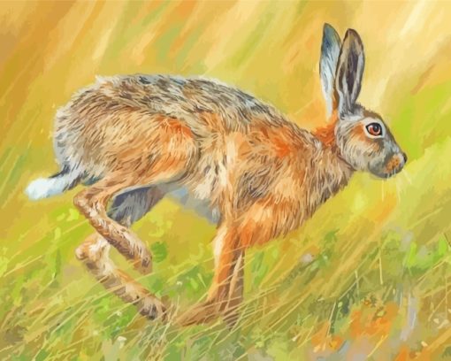 Hare Running paint by numbers