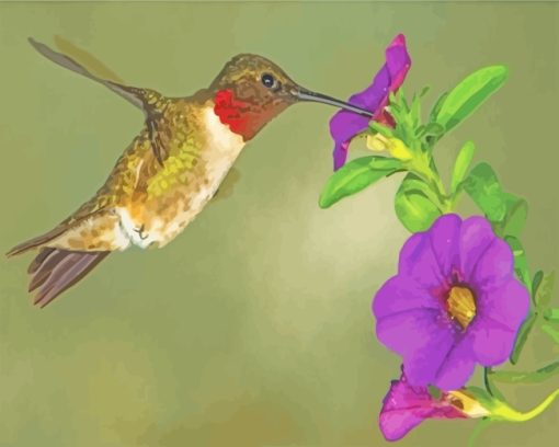 Hummingbird In Purple Flower paint by numbers