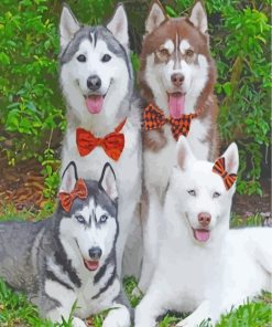 Husky Dogs Family paint by numbers