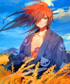 Hyakkimaru Art From The Anime Dororo paint by numbers