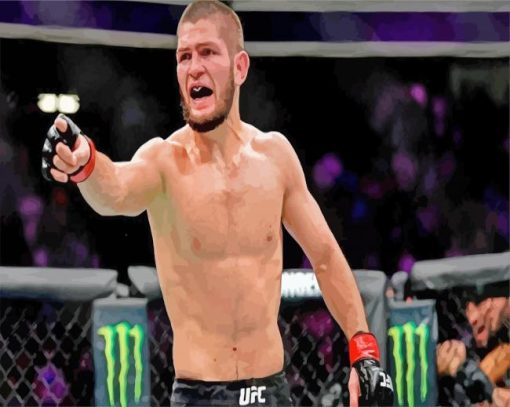 Khabib Nurmagomedov paint by numbers