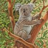 Koala Animal Art paint by numbers