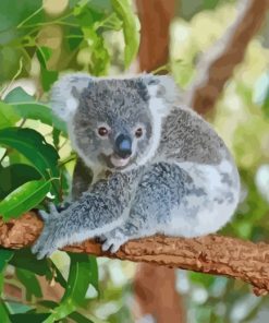 Koala On Tree Branch paint by numbers