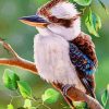 Kookaburra On A brunch paint by numbers