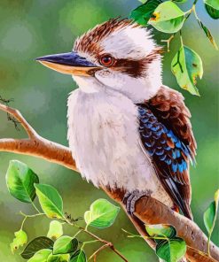 Kookaburra On A brunch paint by numbers