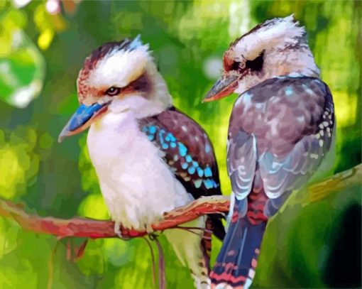 Kookaburras Bird paint by numbers