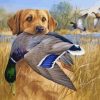 Labrador And Mallards paint by numbers