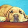 Labrador Retriever paint by numbers