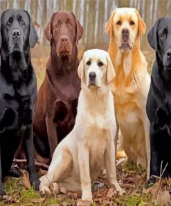 Labrador-Retrievers-paint-by-numbers