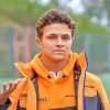 Racing Driver Lando Norris paint by numbers