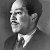 Langston Hughes paint by numbers