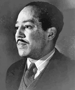 Langston Hughes paint by numbers