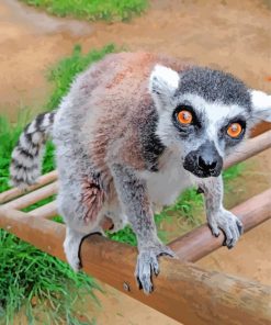 Lemur Animal paint by numbers