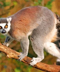 Lemur paint by numbers