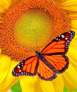 Lepidoptera And Sunflower paint by numbers