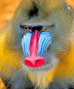 Mandrill Monkey Face paint by numbers