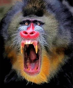 Mandrill Monkey paint by numbers