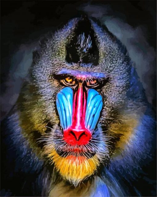 Mandrill Monkey Primate paint by numbers