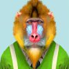 Mandrill Wearing Clothes paint by numbers