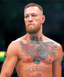 McGregor Conor paint by number paint by numbers