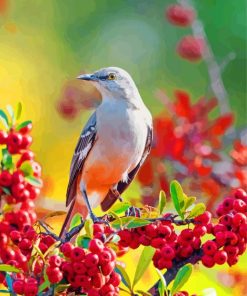 Mockingbird Animal paint by numbers