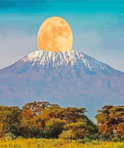 Mount Kilimanjaro National Park paint by numbers