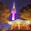 N Seoul Tower Korea paint by numbers